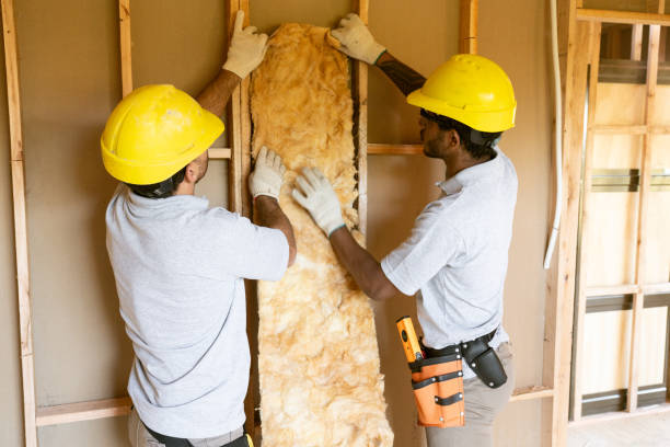 Best Crawl Space Insulation  in Jackson, SC