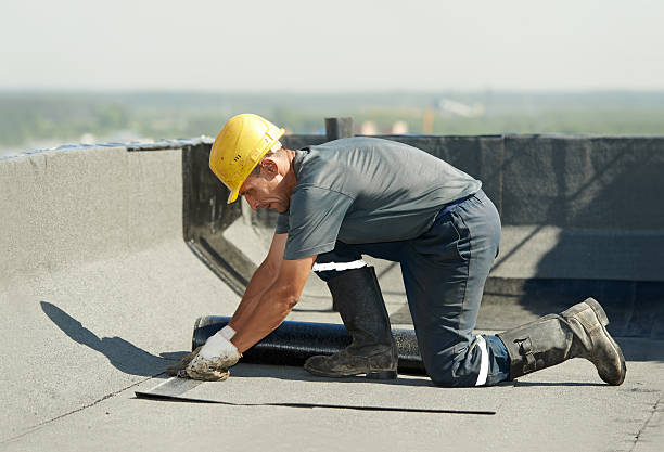 Best Insulation Inspection Services  in Jackson, SC