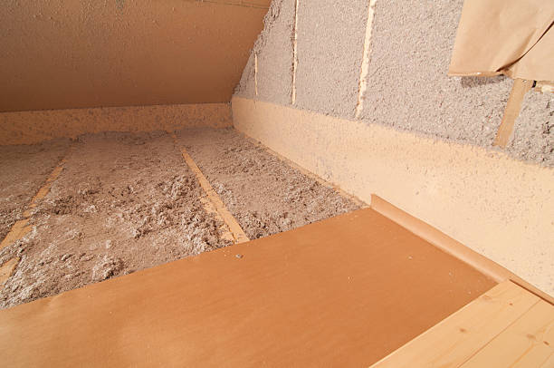 Best Insulation Repair Services  in Jackson, SC