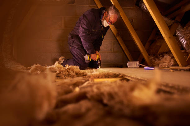 Best Blown-in Insulation  in Jackson, SC