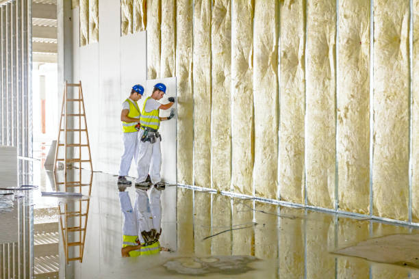 Best Insulation for New Construction  in Jackson, SC